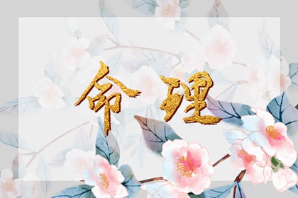 紫微精准排盘_本命盘查询免费_紫微星正缘很小_新浪紫微命盘_八字本命盘