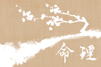 兔年运势解析,批八字四柱,八字看人品好坏,时空局八字排盘,查八字大运,起四柱算八字